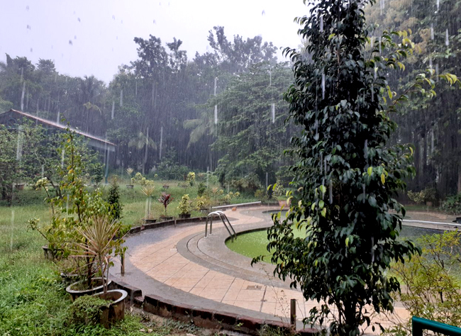 AgriTour, Agritourism, farms to visit in bangalore, farms for kids, farm holidays near bangalore, weekend farming, Big Banayan Tree Farm, Farms in Bangalore, Weekend Farm visit in Bangalore, school field trip